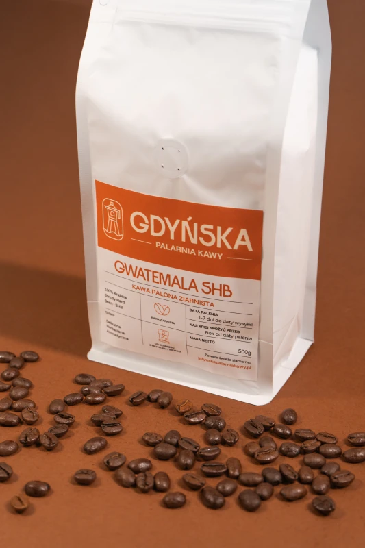 GWATEMALA_POZA 2.jpg