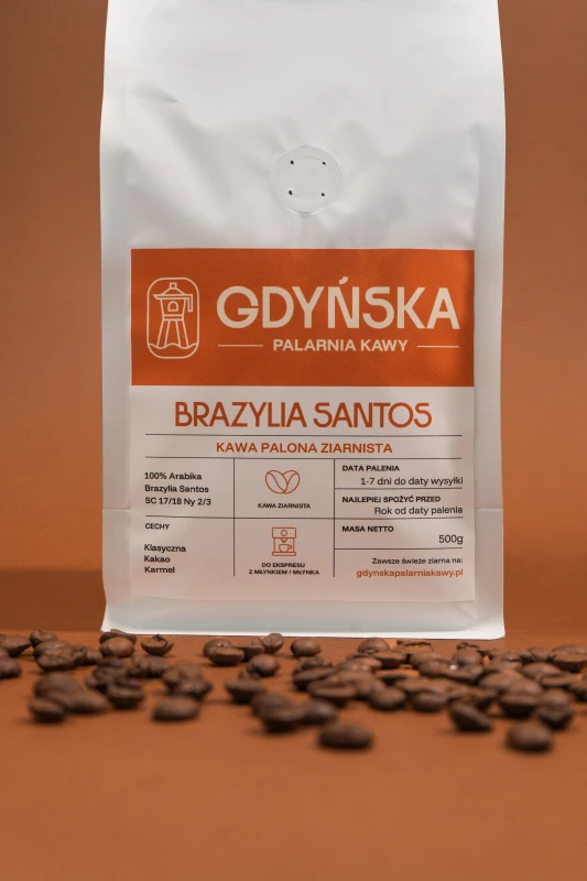 BRAZYLIA_POZA 4.jpg